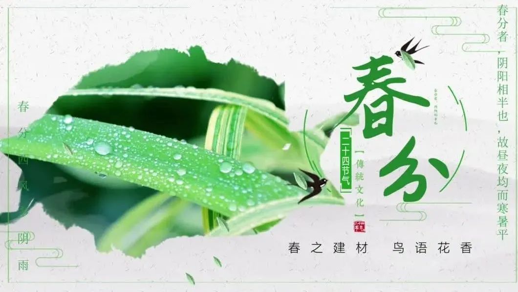 今日春分 | 春之建材，鸟语花香