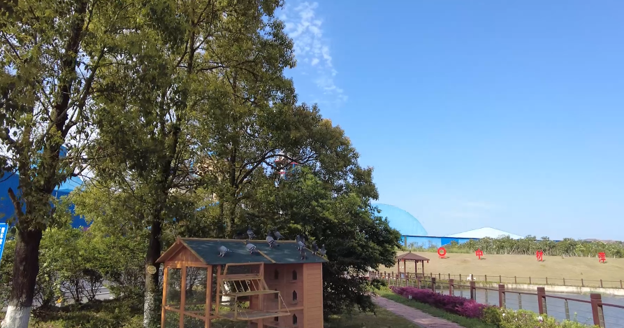 春来好时光，花圃工厂朝气勃勃