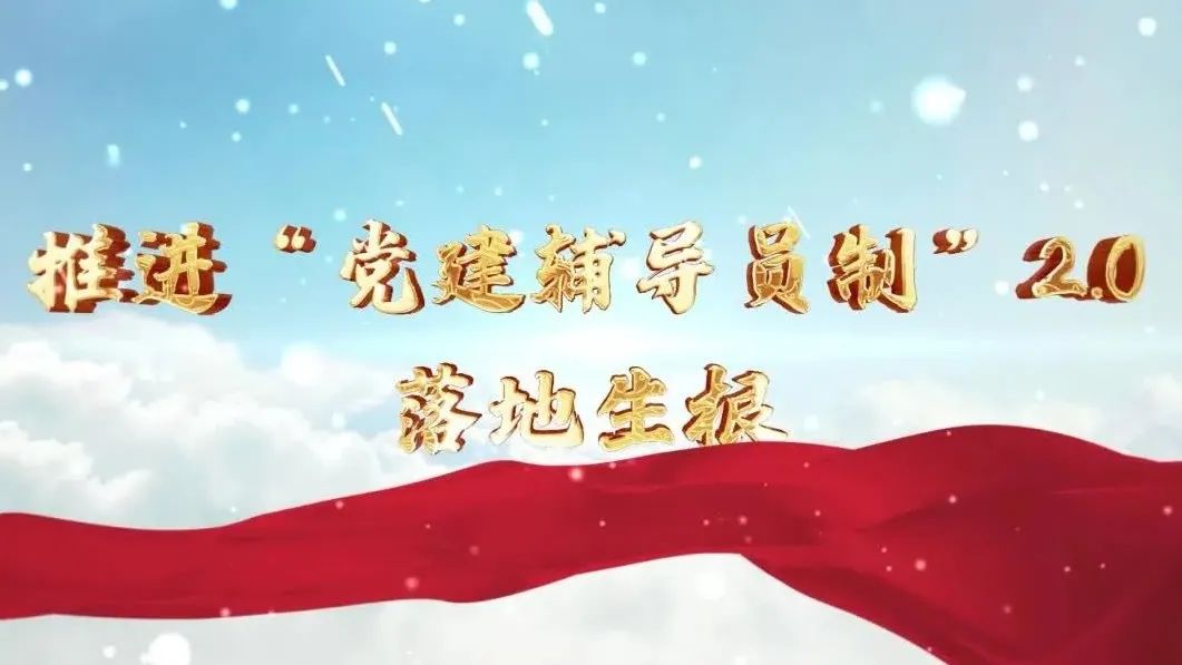  党建经营融合十佳案例④ | 西南水泥——“领导员造”+“进建型组织”，让党建成为看得见的“出产力” 